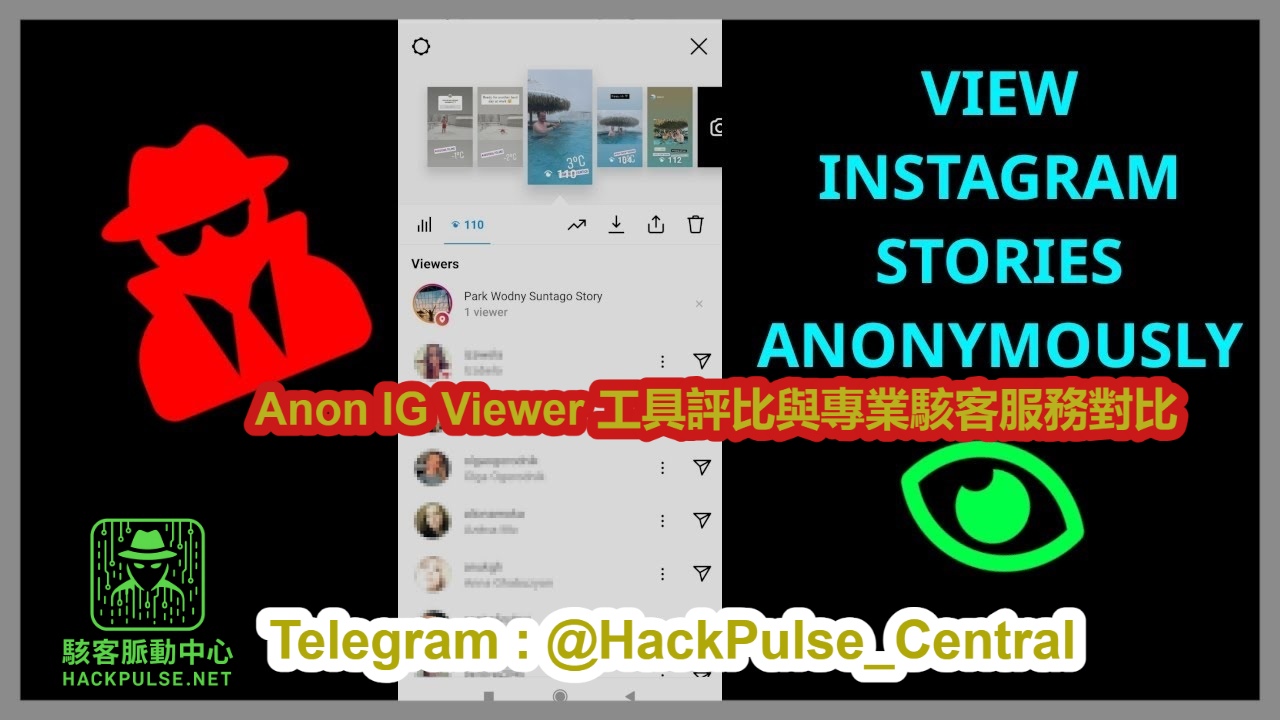 Anon IG Viewer 工具評比與專業駭客服務對比
