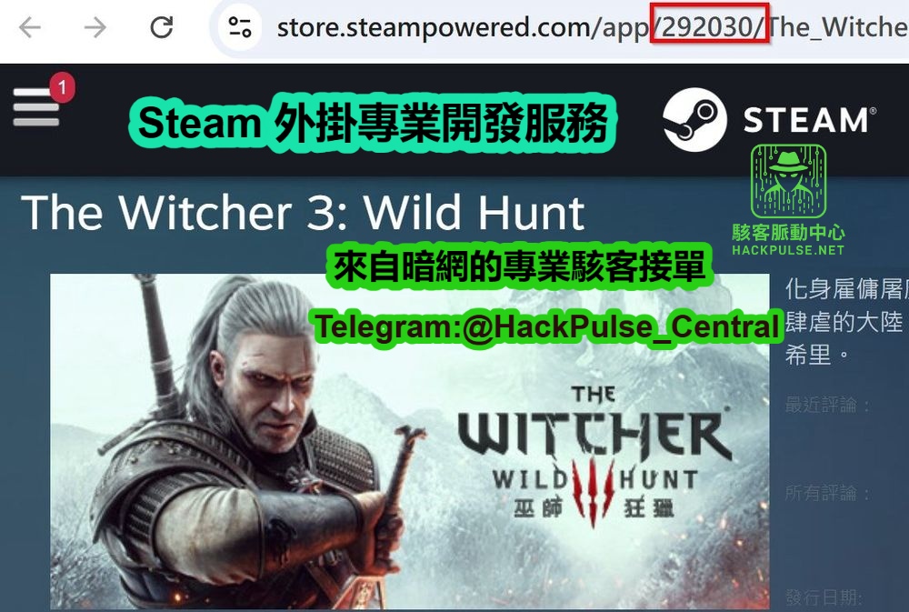 Steam 外掛專業開發服務